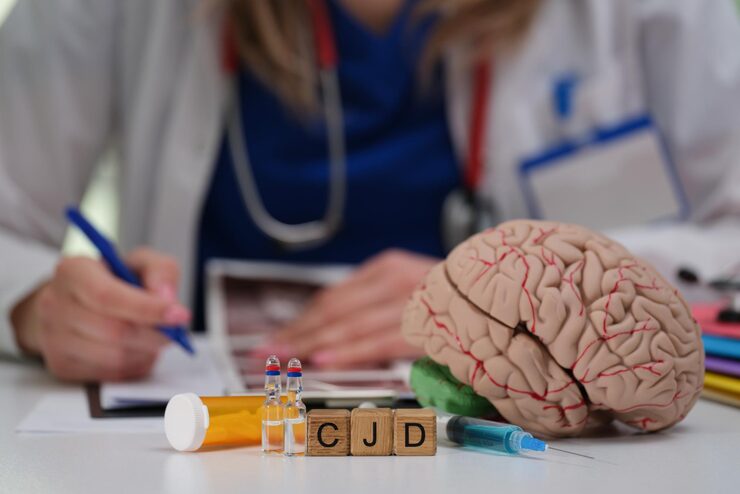 Best Brain Health Supplements by Dr. Don Zone for Cognitive Clarity