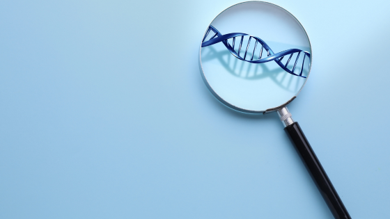 NMN, NAD+ & Longevity Science Glossary