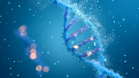 longevity science glossary